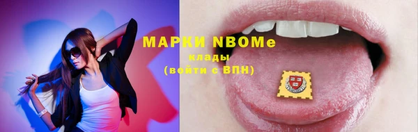 прущий лед Верея