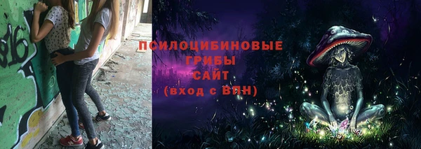 прущий лед Верея
