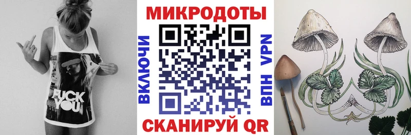 Псилоцибиновые грибы Psilocybe  Купить закладки  Усть-Илимск 